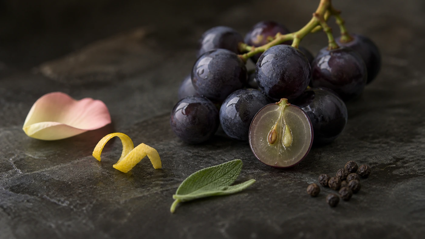 grape-hidden-aroma-potential Macro still life of wine grapes and familiar floral, citrus, herbal, and pepper references representing expressed aromas and hidden grape precursors.